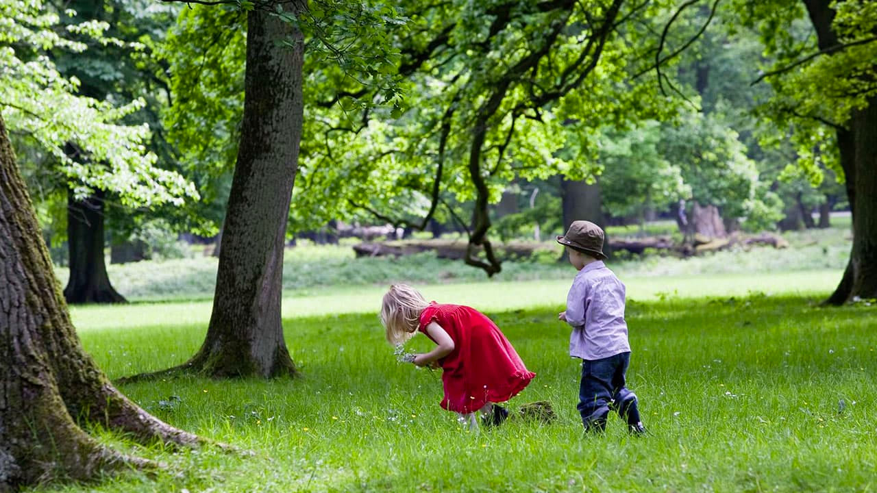 DE: Zwei Kinder spielen auf einer grünen Wiese im Wald, das Mädchen pflückt Blumen. / EN: Two children playing on a green meadow in the forest, the girl is picking flowers.